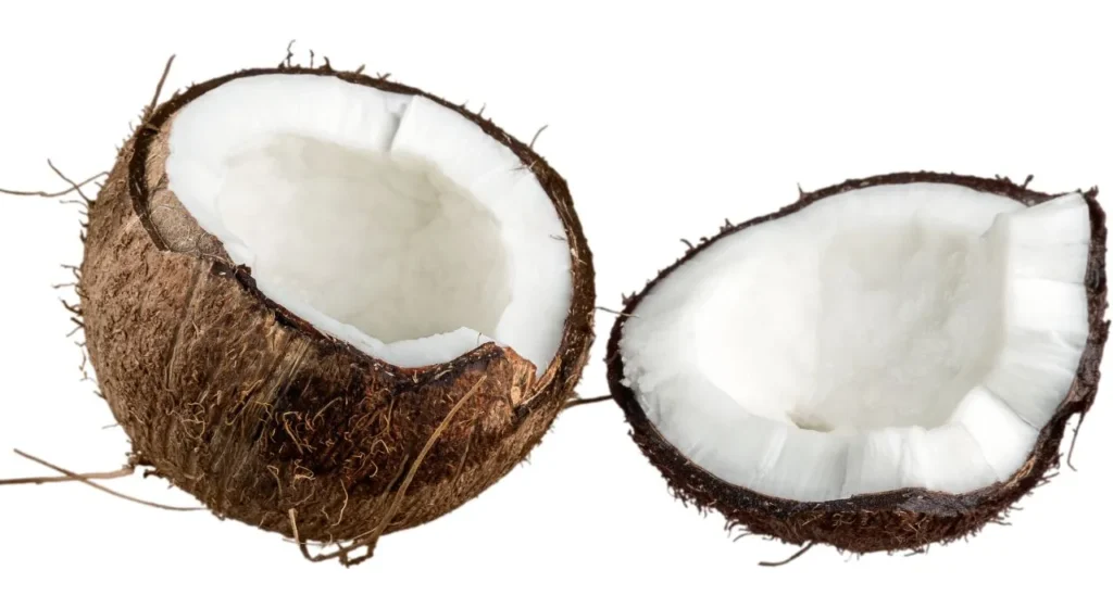 Coconut name In Hindi