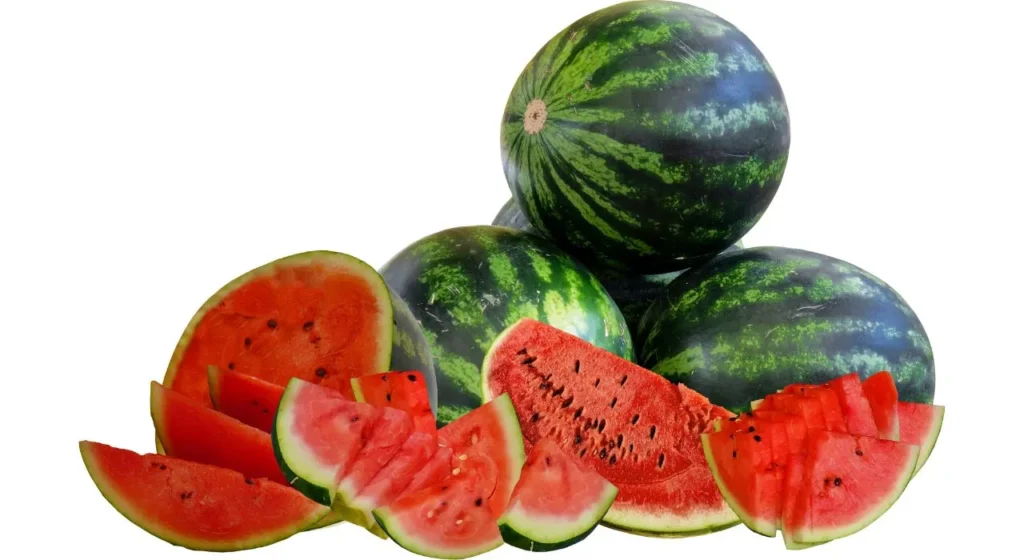 Watermelon In Hindi Fruits Name