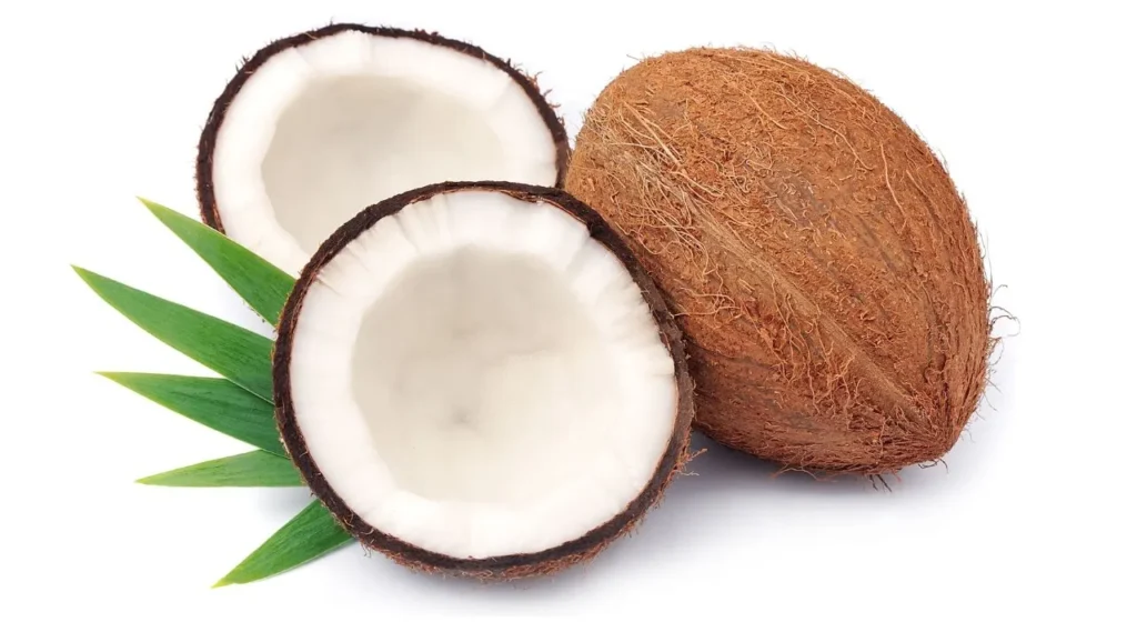 Coconut In Hindi