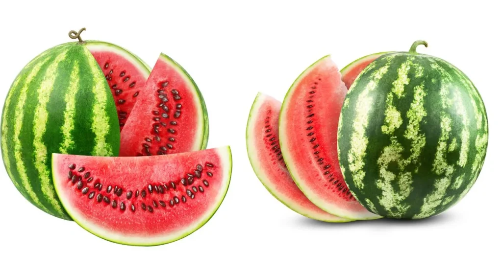 watermelon name in hindi