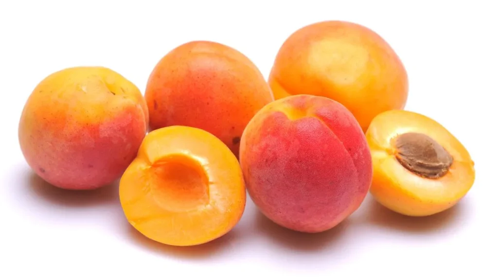 Apricot In Hindi name