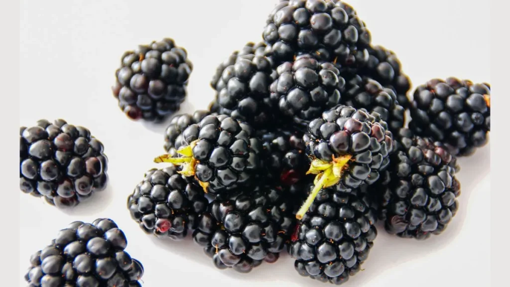 Blackberry Fruit In Hindi