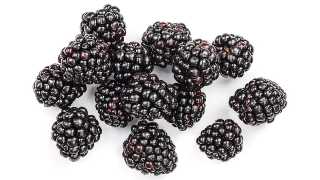 Blackberry Fruit In Hindi name