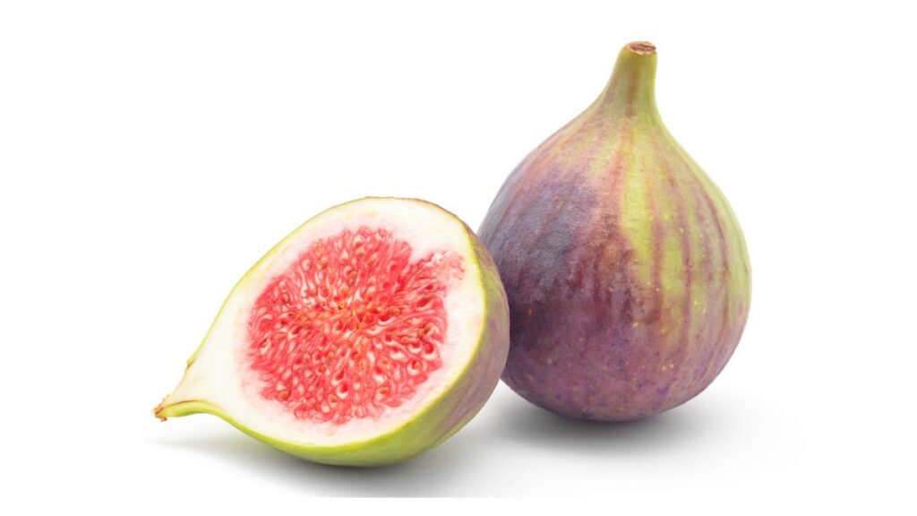 Cluster Fig In Hindi name