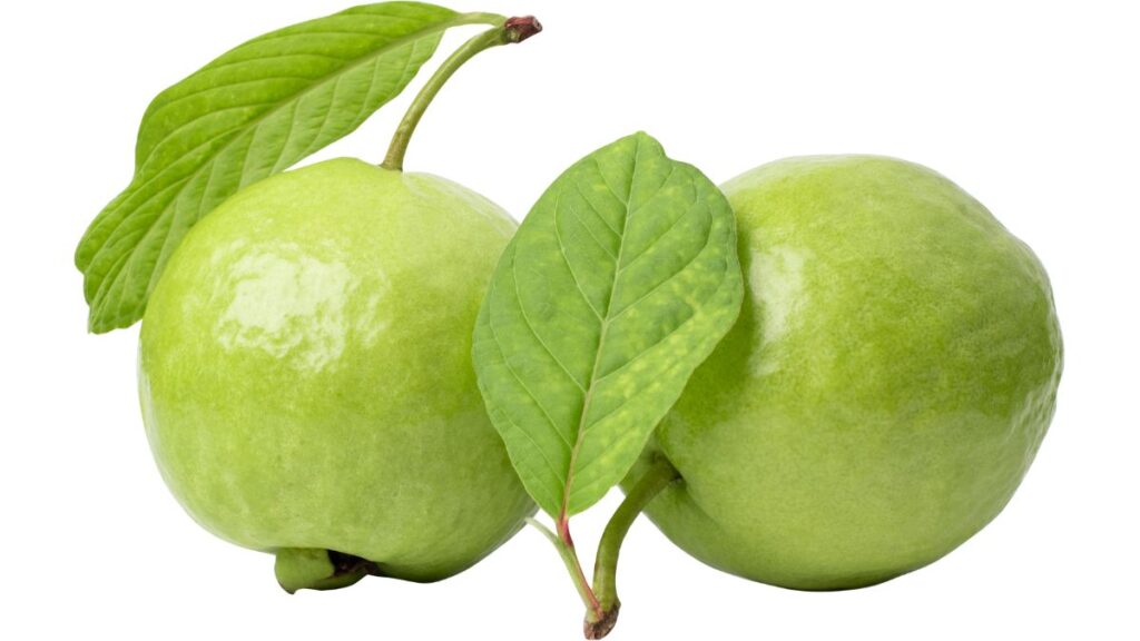 Guava In Hindi name