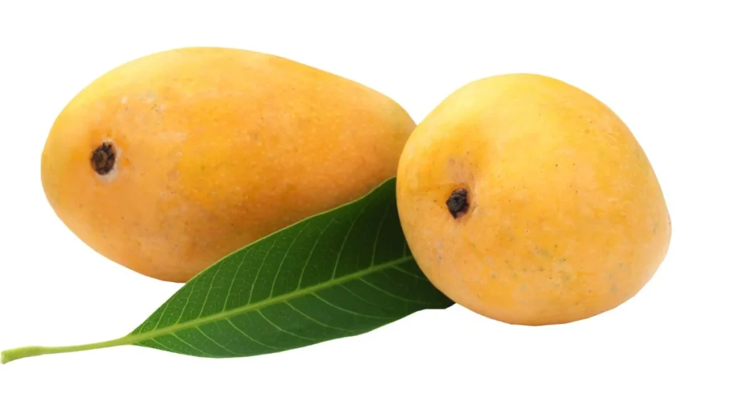 Mango name In Hindi