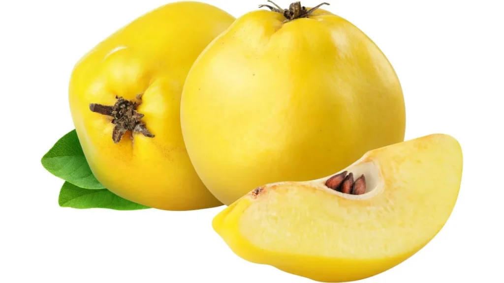 Quince Fruit In Hindi